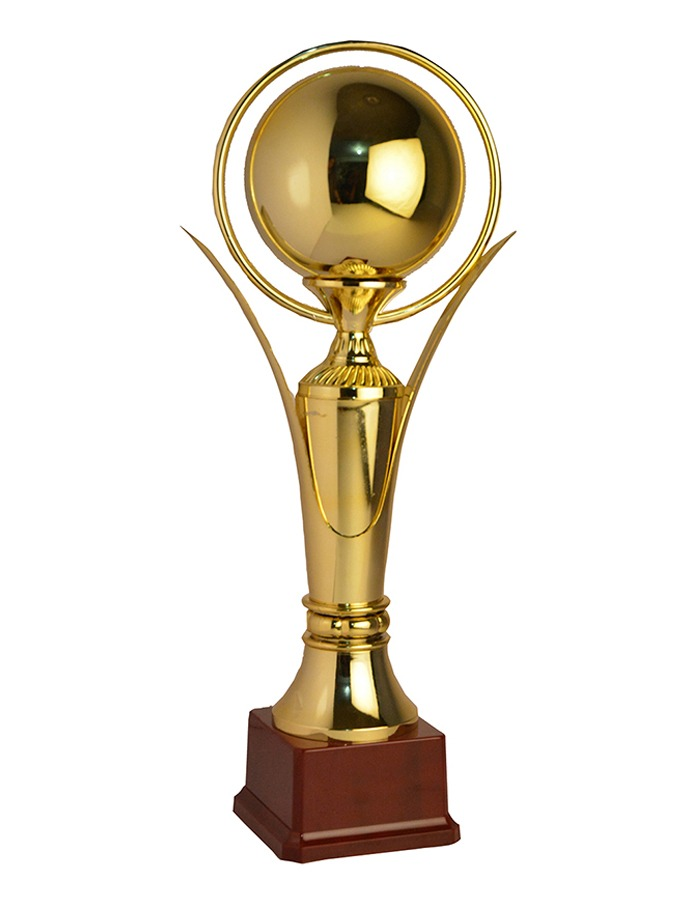 FOOTBALL TROPHY WINNER TROPHY