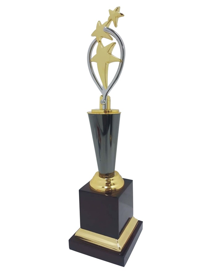 METAL AWARD
